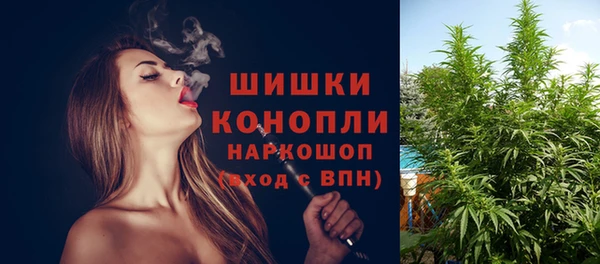 СК Балахна